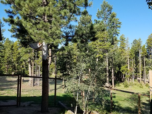 5th image of 11970 Spruce Canyon Cir