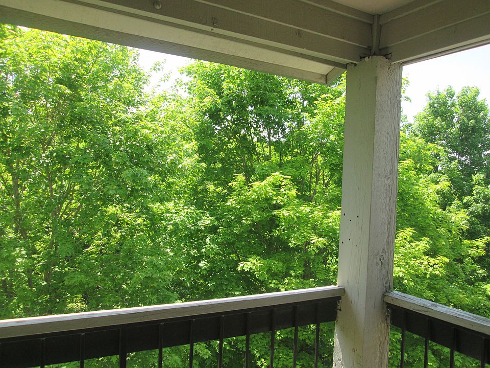 View from the third floor balcony