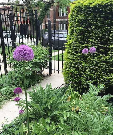 1449 N Bell Ave #BASEMENT — Photo 1