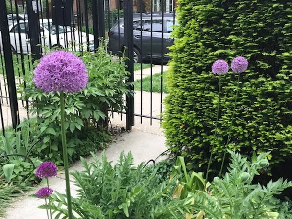 1449 N Bell Ave #Basement, Chicago, IL 60622