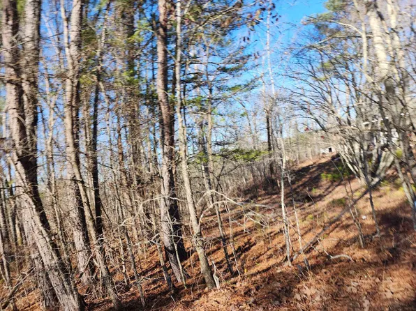 LOT 4 Carrollton Dr NW Lot 4, Cullman, AL 35055