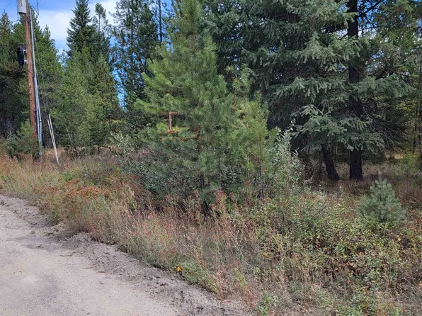 36 Carpenter Dr, Newport, WA 99156