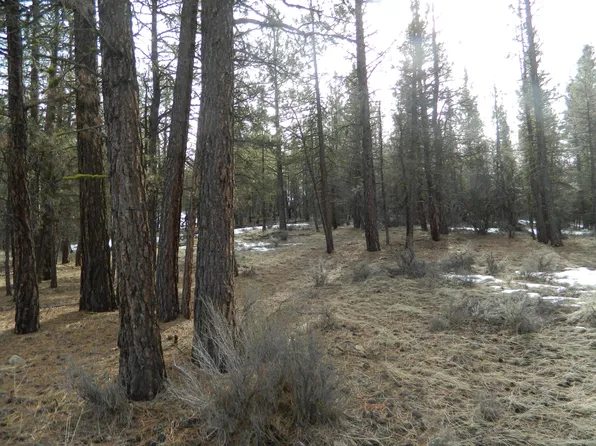 LOT 7 Mayberry Dr, Beatty, OR 97621