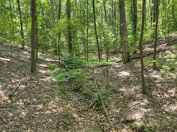 5th image of Laurel Springs Rd