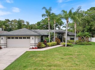 1019 Chillum Ct, Safety Harbor, FL 34695