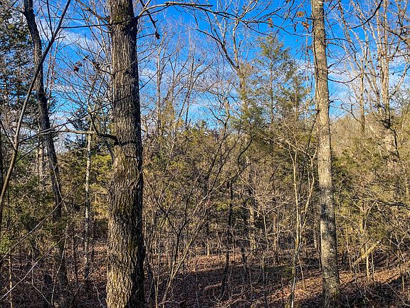 2nd image of 000 Jackson Hollow Road