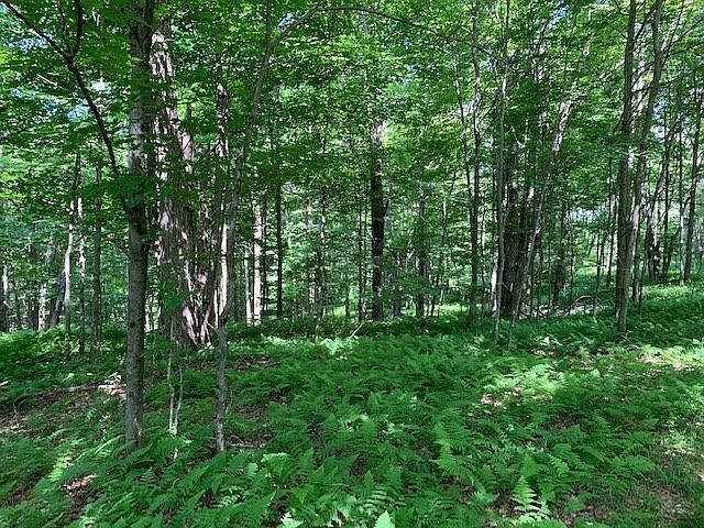 2nd image of 3870 Maggie Hoag Rd