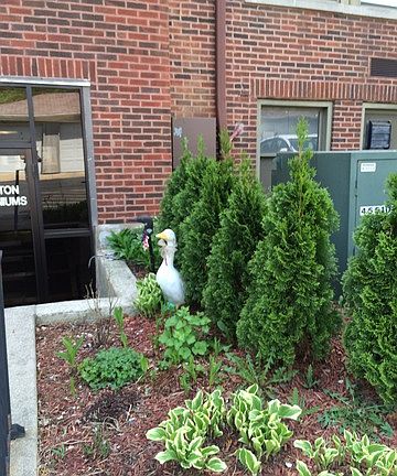 3rd image of 530 E Highland Ave APT C11