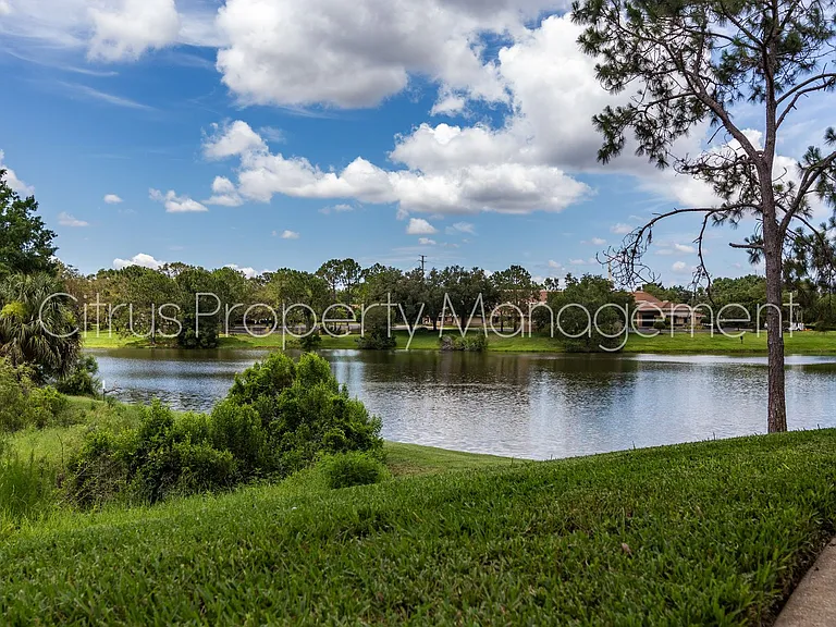 2569 Grassy Point Dr #213 — Photo 11