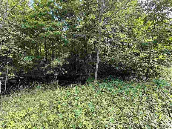 3rd image of 37690 Allens Lakeview Rd