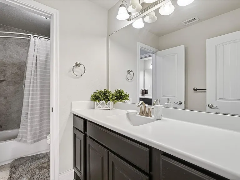 10311 Silver Shield Way — Photo 19