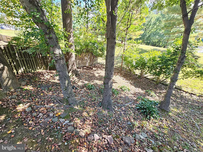 11321 Classical Ln — Photo 56