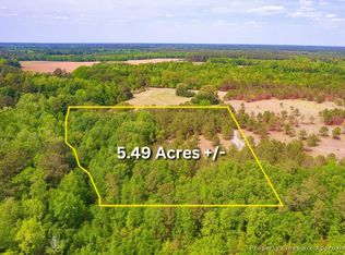 6 Pompey Rd, Manning, SC 29102