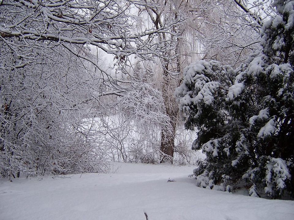 Winter walk-out view