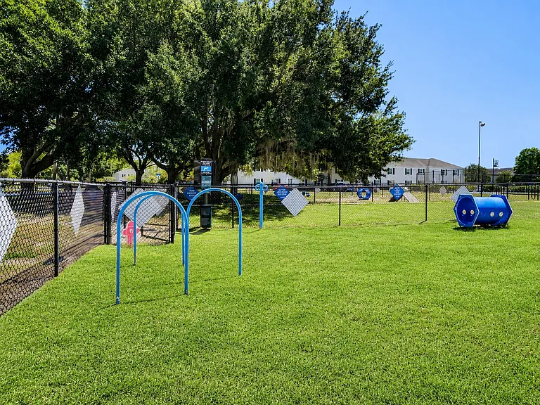 Park at Lake Magdalene Apartments and Townhomes — Photo 28