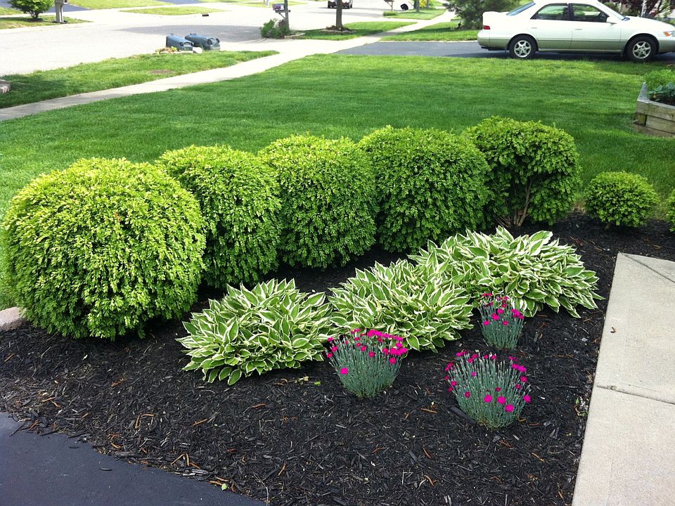 1st image of 1681 Quail Meadows Dr
