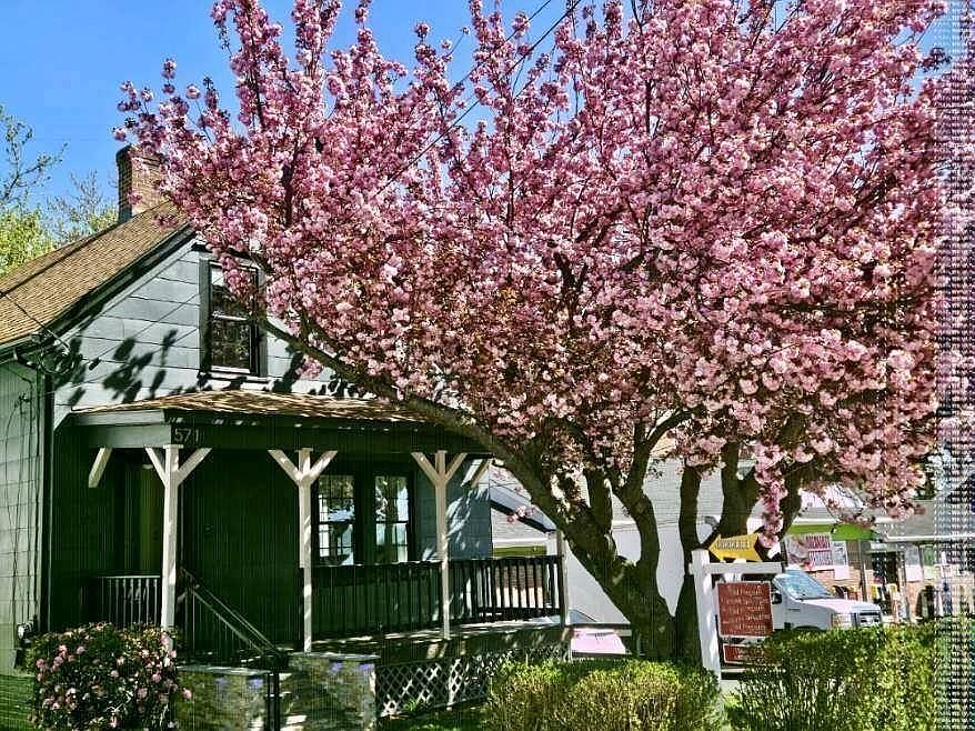 1st image of 571 Winter St