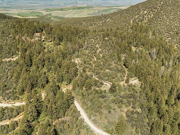 3rd image of Tbd Pine Dr