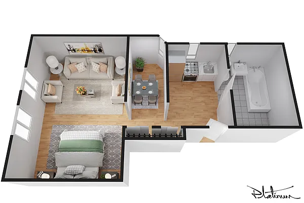 Rented by Platinum Properties | media 5