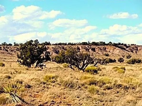 Lot 11 Carrizo Ranch -- #011, St Johns, AZ 85936