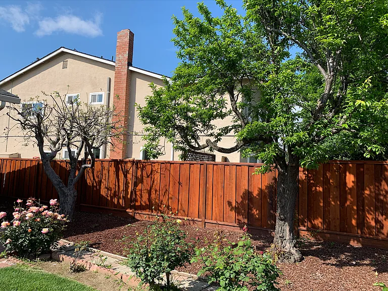 Purple Glen Dr — Photo 22