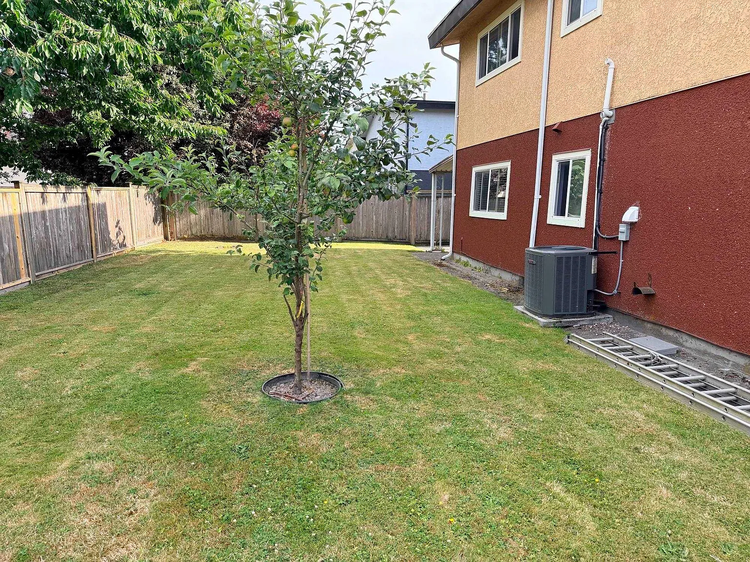3 bed, 2200 sqft, $4,000 — Photo 2