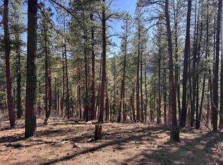 135 Pine Cone Cir, Bayfield, CO 81122