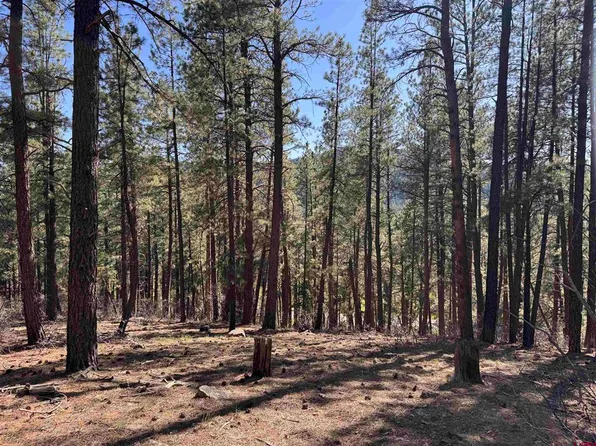 135 Pine Cone Circle, Bayfield, CO 81122