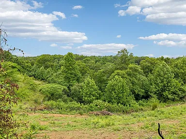 Property photo 55