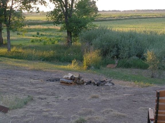 Back yard taken last summer