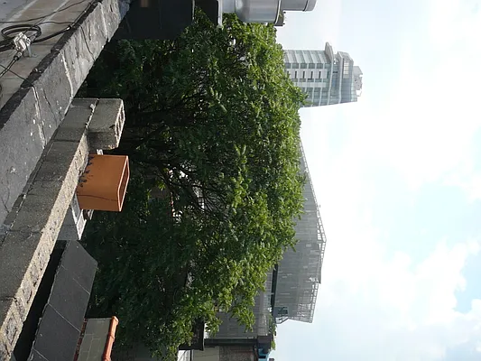 Rented by Kings Court Real Estate | media 26