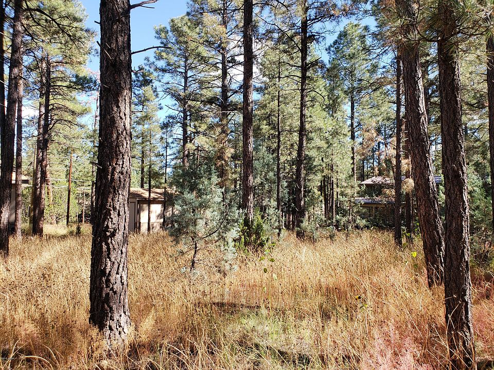 2nd image of 2159 Wildflower Rd