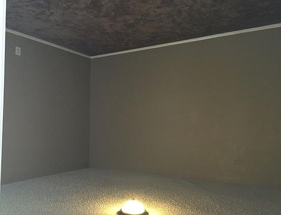 4th image of 10112 Checota Dr