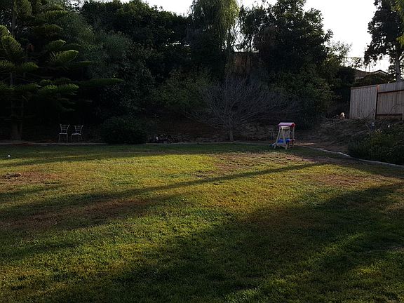 This is the backyard