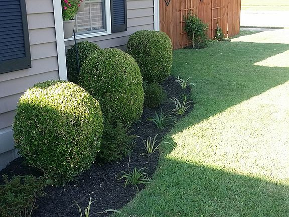 New land scaping