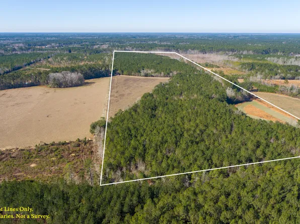 0 Hiotts Pond Rd, Walterboro, SC 29488