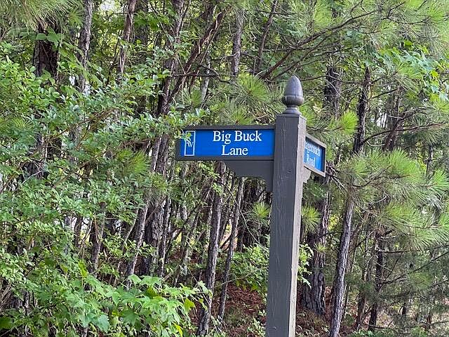 1st image of LOT 14 Big Buck Ln
