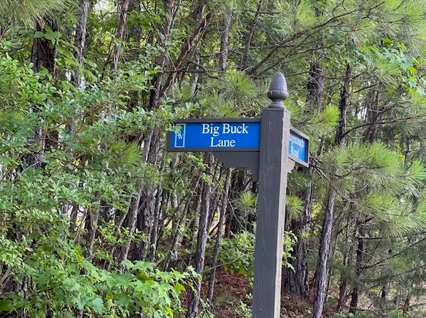 LOT 14 Big Buck Ln, Dadeville, AL 36853