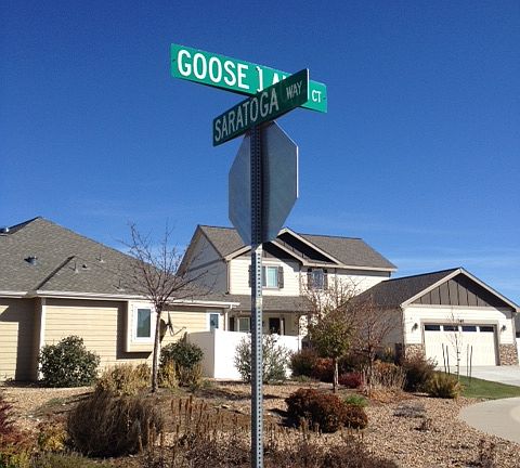 4th image of 355 Goose Lake Ct