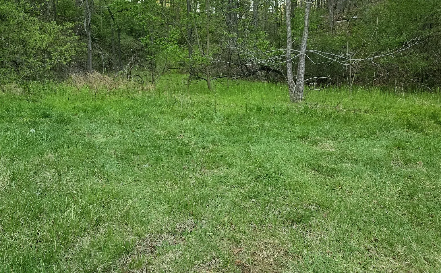 6993 Franklin Rd photo 1