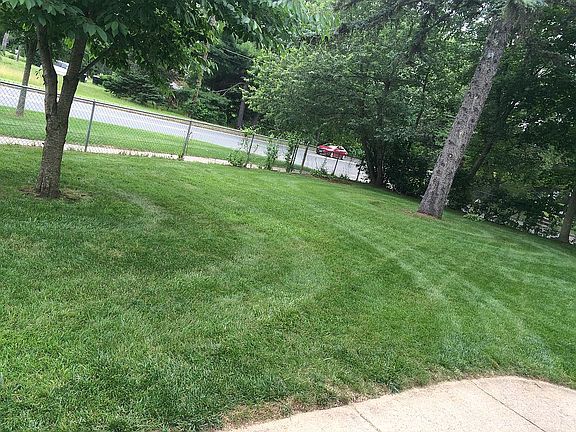Front yard