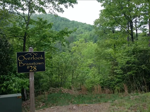 LOT 28 Brasstown Vw, Brasstown, NC 28902