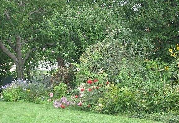 summer greenery