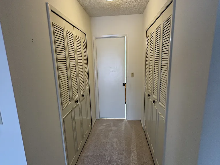 Master dual closets