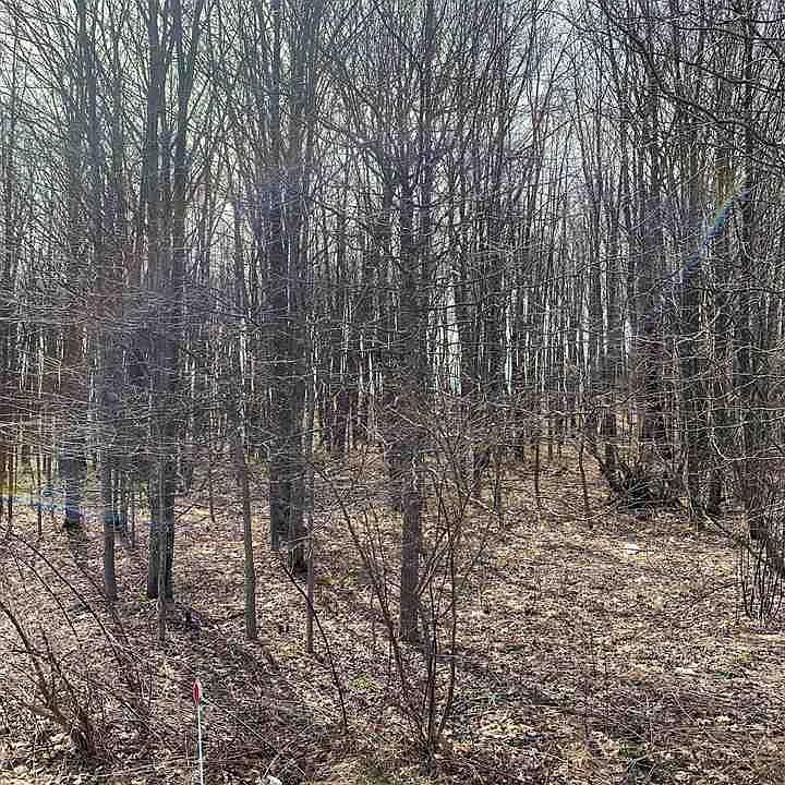 Schuchert Ln, Markleysburg, PA 15459 MLS 10148693 Zillow