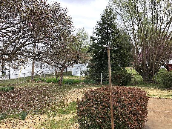 4th image of 10337 Little Flower Ln