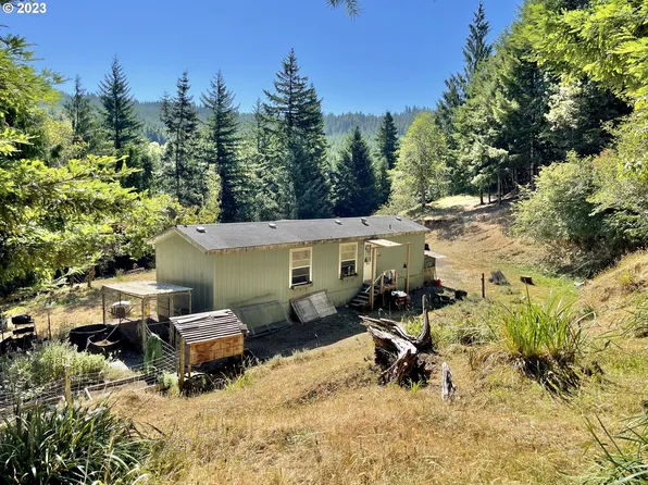 49008 Eckley Mountain Rd, Myrtle Point, OR 97458