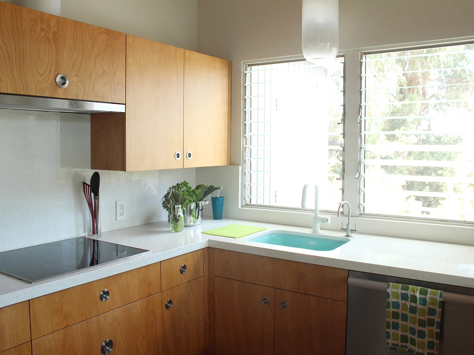 2 bed, 1000 sqft, $4,900 — Photo 3