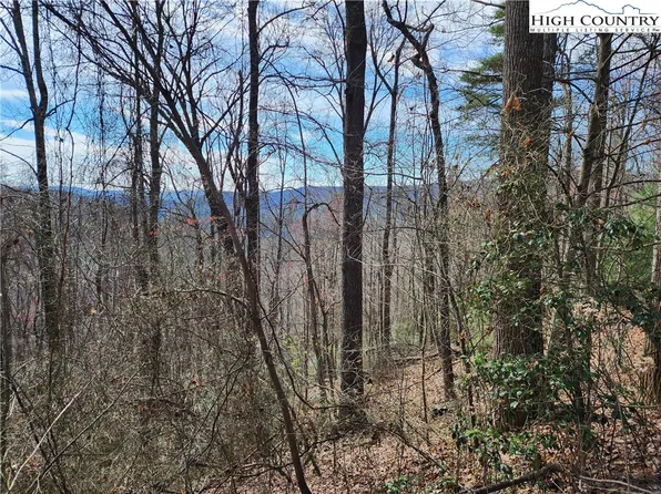 TBD Deer Run, Purlear, NC 28665