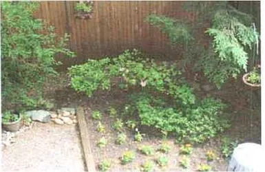 Rented by Upton Realty Group